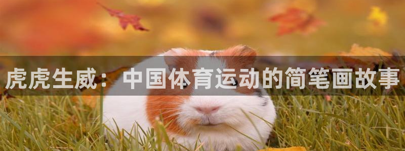 球王会体育：虎虎生威：中国体育运动的简笔画故事