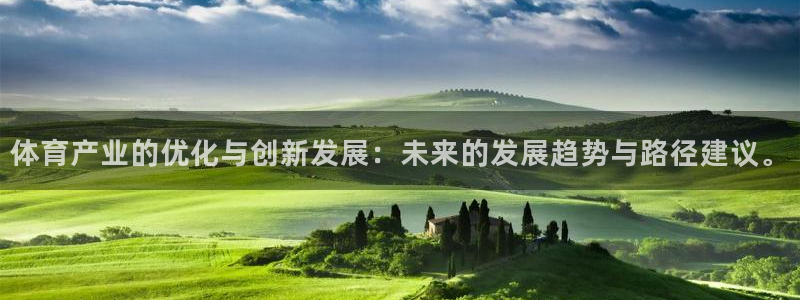球王会体育：体育产业的优化与创新发展：未来的发展趋势与路径建议。