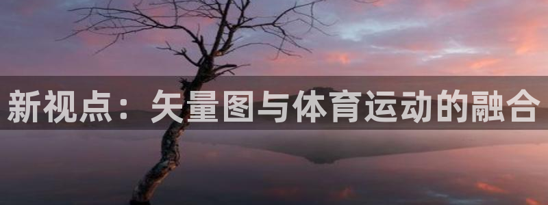 球王会体育：新视点：矢量图与体育运动的融合
