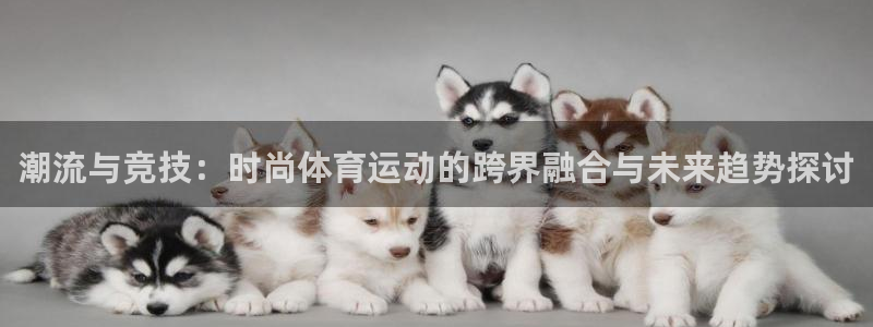 球王会体育：潮流与竞技：时尚体育运动的跨界融合与未来趋势探讨
