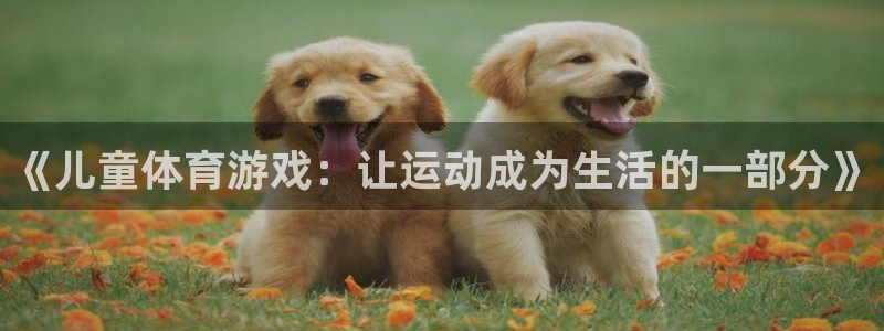 球王会体育：《儿童体育游戏：让运动成为生活的一部分》